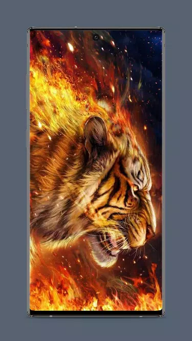 Fire Tiger Wallpaper Screenshots