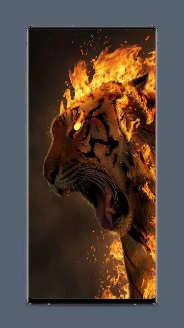 Fire Tiger Wallpaper Screenshots