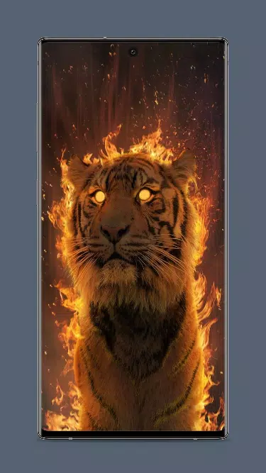 Fire Tiger Wallpaper Screenshots