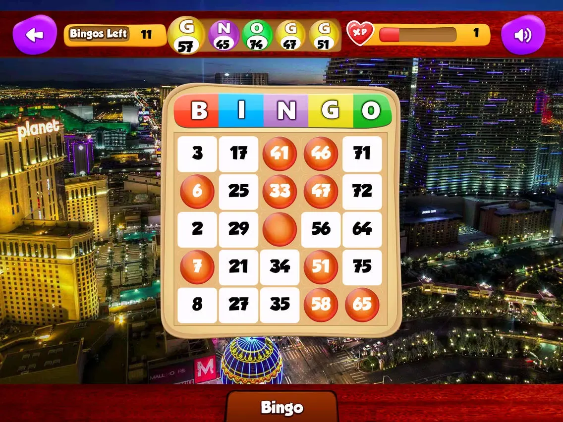 RnR Bingo iPad  スクリーンショット