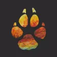 Sky Wolf - Run and Jump Sky Wolf - Run and Jump