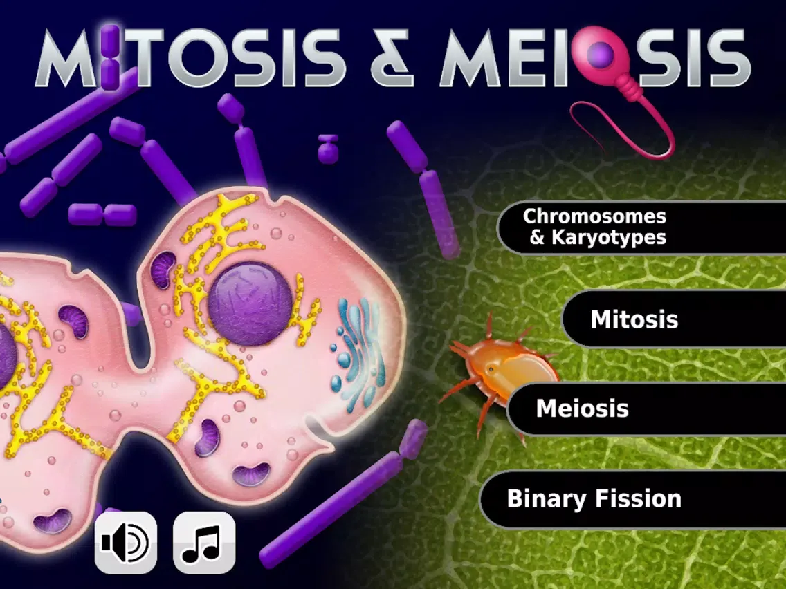 صور Biology Mitosis & Meiosis Lite iPad 