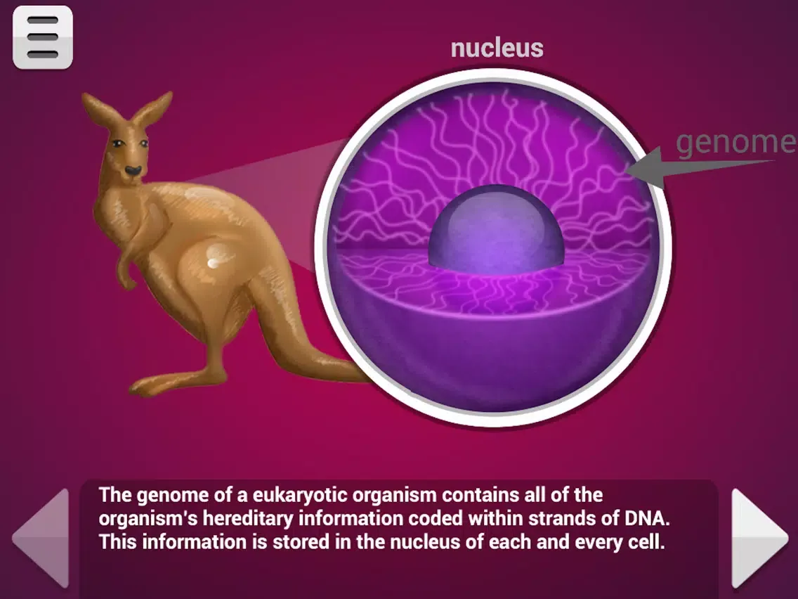 صور Biology Mitosis & Meiosis Lite iPad 