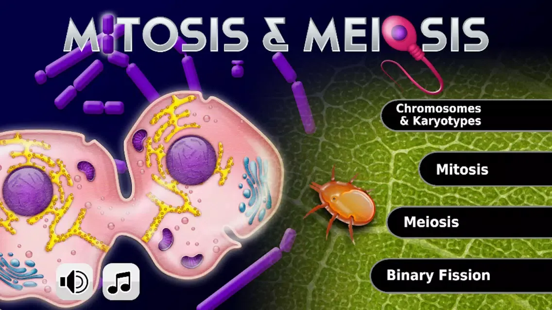 صور Biology Mitosis & Meiosis Lite