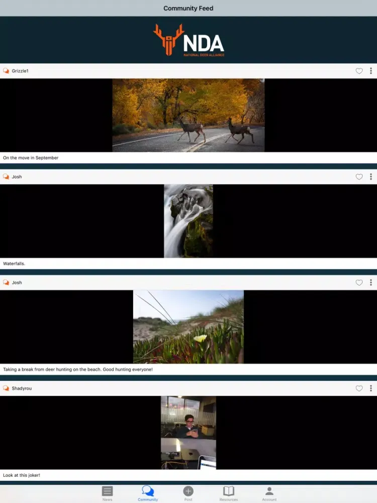 Zrzuty ekranu NDA App iPad 