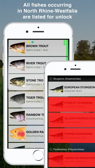 تصاویر Fishguide NRW