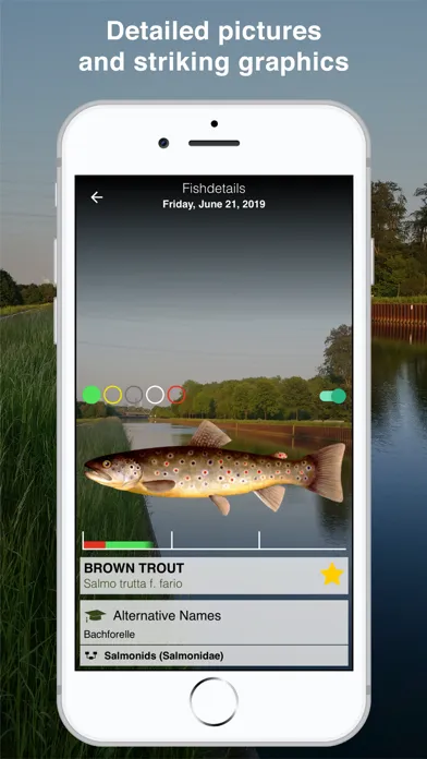 تصاویر Fishguide NRW