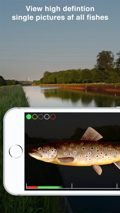 تصاویر Fishguide NRW