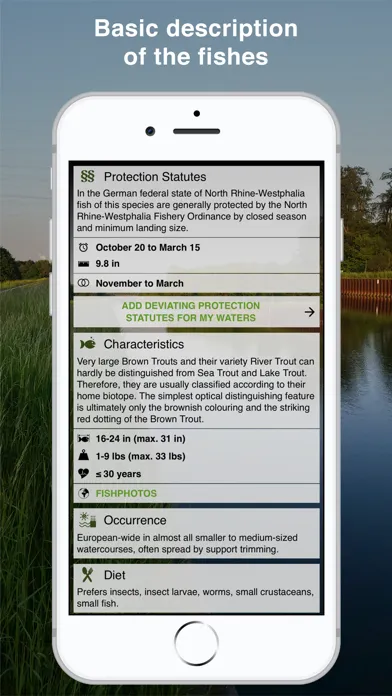 تصاویر Fishguide NRW
