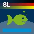Fishguide Saarland Fishguide Saarland