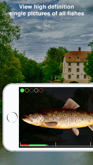 Fishguide Saarland 스크린샷