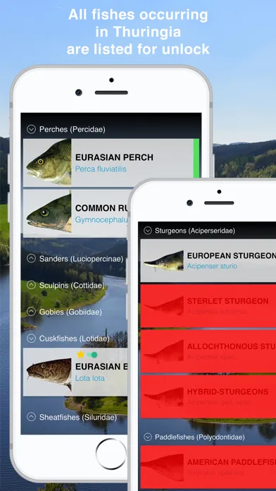 Скриншоты Fishguide Thuringia