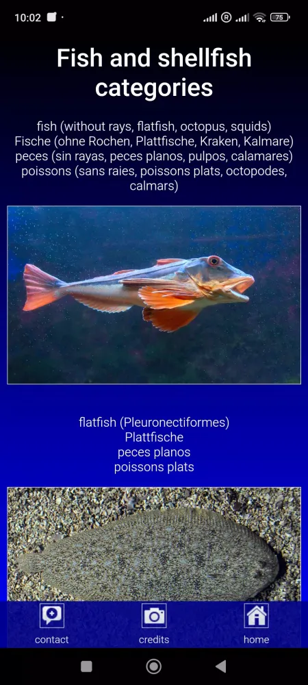 Sea fish of the North Atlantic スクリーンショット
