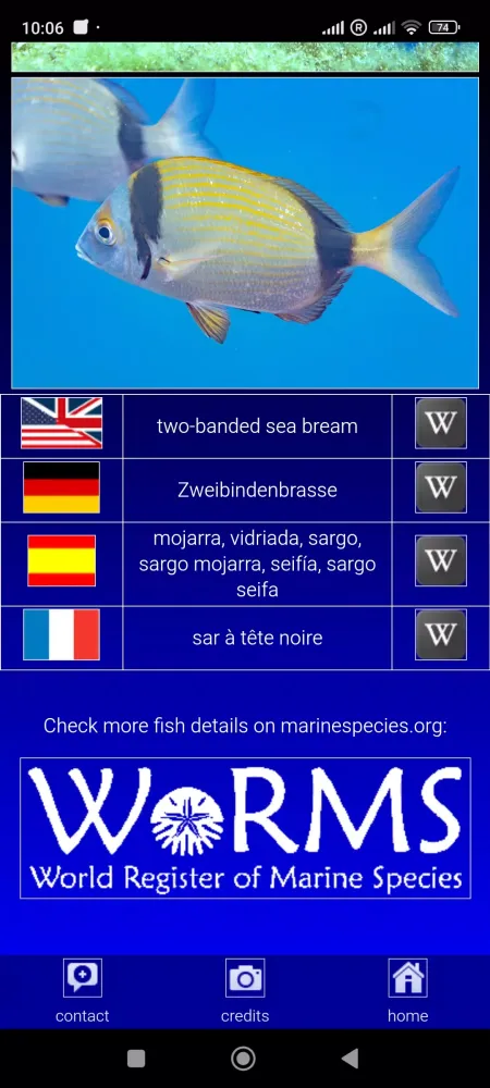 Sea fish of the North Atlantic スクリーンショット