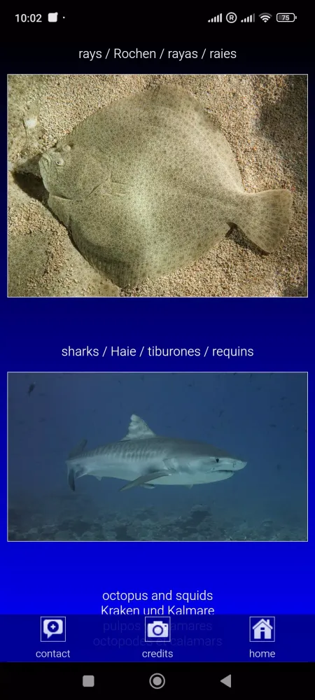 Sea fish of the North Atlantic スクリーンショット