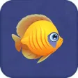 Feeding Fish!