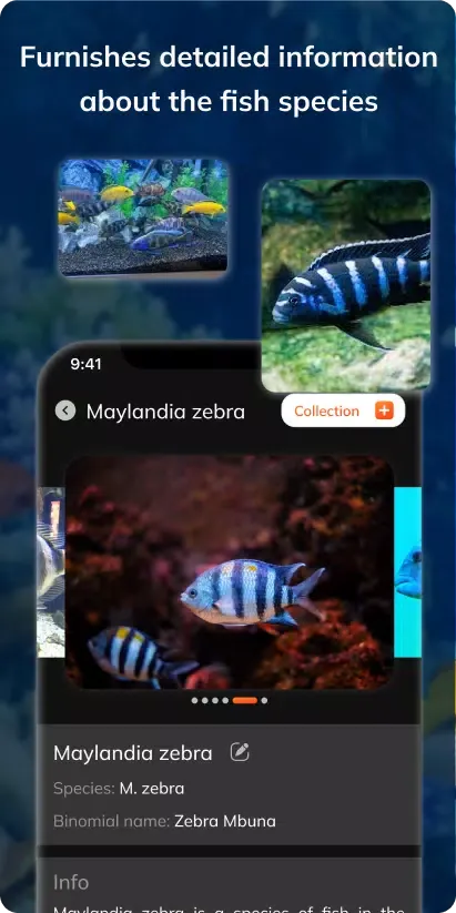 FishDetect - Fish Identifier スクリーンショット
