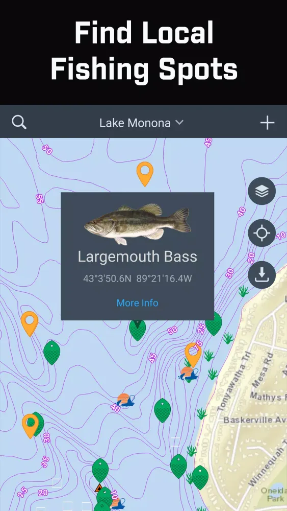 Screenshot di Fishidy