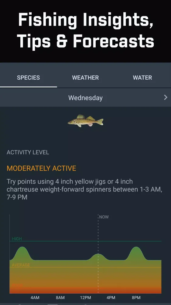 Screenshot di Fishidy