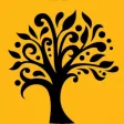 AITP: Find The Three Graces