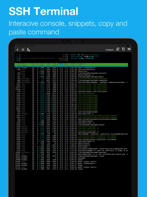 SSH Pulse Pro: Status, SSH iPad 应用截图