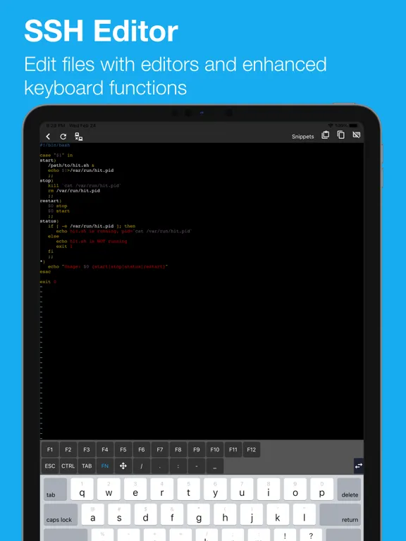 SSH Pulse Pro: Status, SSH iPad 应用截图