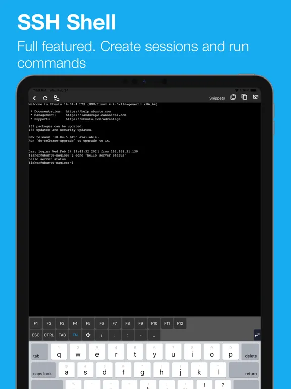 SSH Pulse Pro: Status, SSH iPad 应用截图