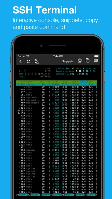 SSH Pulse Pro: Status, SSH应用截图