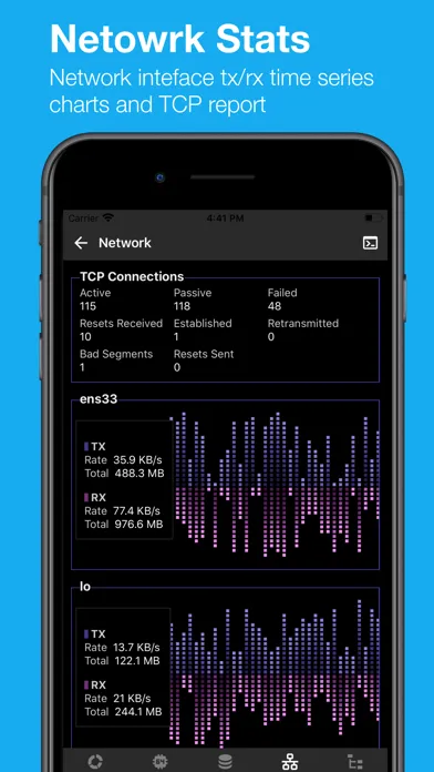 SSH Pulse Pro: Status, SSH应用截图