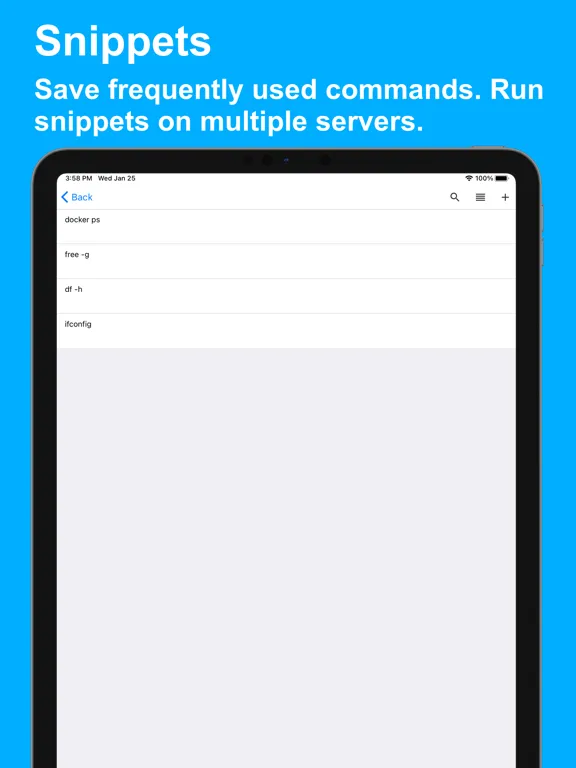 Captures d'écran de TermuXL Pro: SSH, SFTP, Shell iPad 