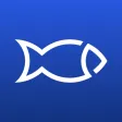 Fishory - Fishing App