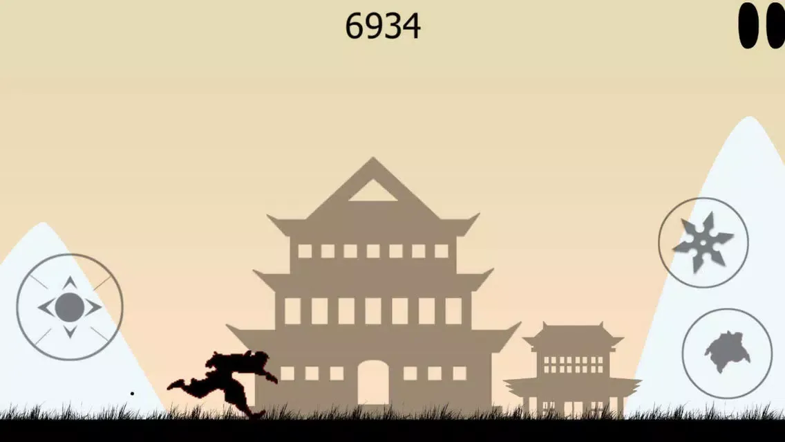 صور Ninja Dark Shadow