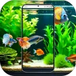 4D Fish Tank Live Wallpaper