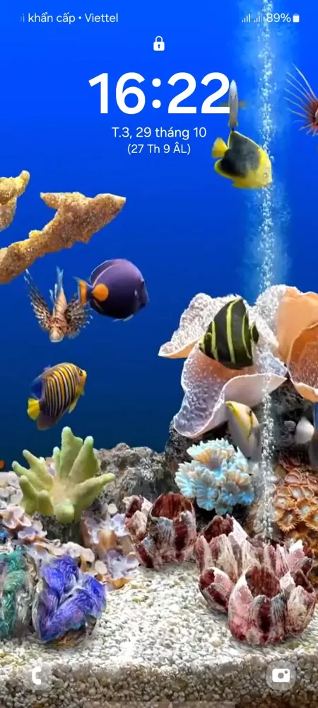 4D Fish Tank Live Wallpaper স্ক্রিনশট