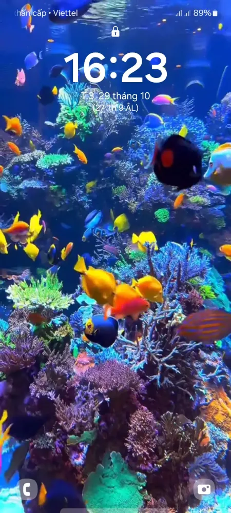 4D Fish Tank Live Wallpaper স্ক্রিনশট