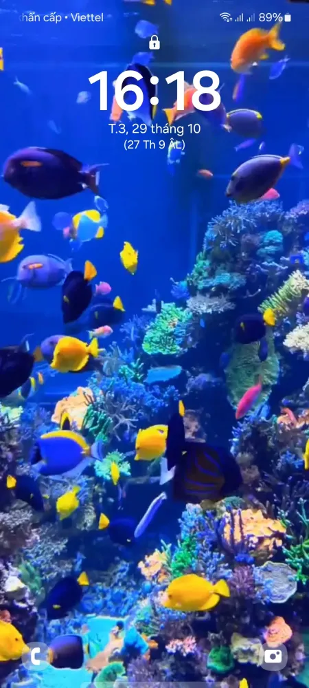 4D Fish Tank Live Wallpaper স্ক্রিনশট