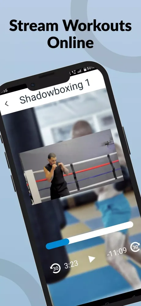 Ảnh chụp màn hình của Ultimate MMA Fighting Program