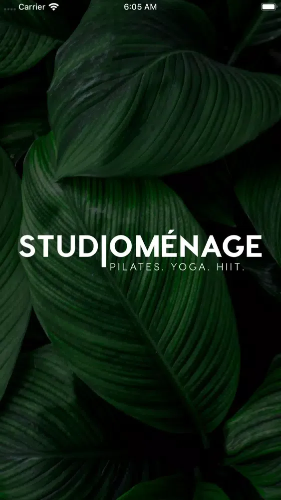 Screenshot di Studio Ménage