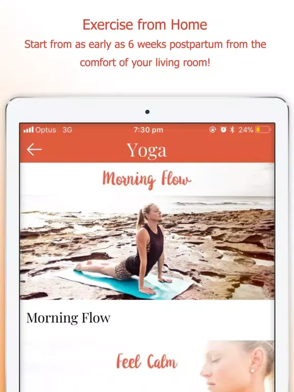 Tangkapan skrin Fit Mommy Project iPad 