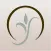 Bliss MediSpa & Wellness