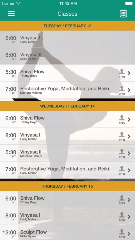Warrior Shiva Yoga स्क्रीनशॉट