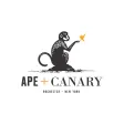 Ape & Canary Ape & Canary