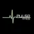 Pulse Boxing and Fitness