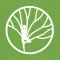 Bodytree Wellness Studio