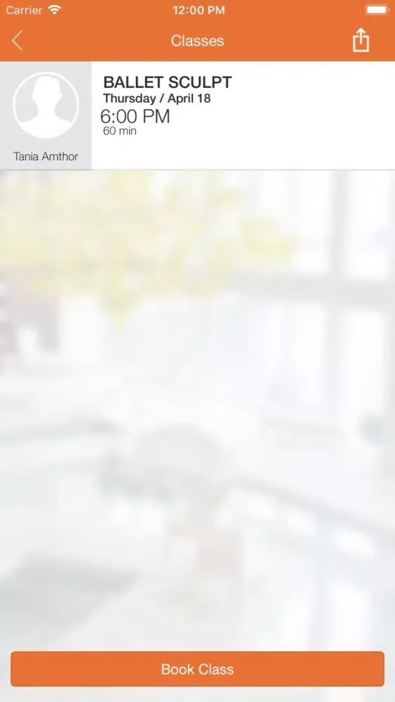 iconbrickell Spa Screenshots