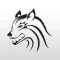 Wolfe Hockey Development