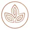 Dolce Vita Wellness Spa