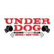 Underdog Boxing and Fitness