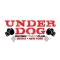 Underdog Boxing and Fitness