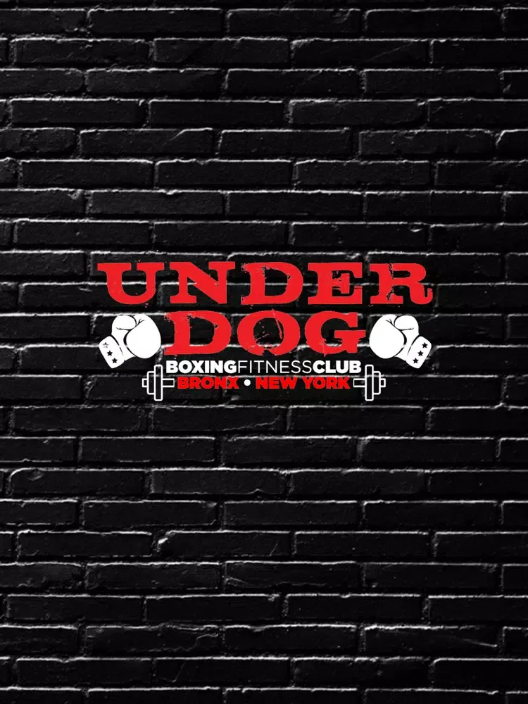 Underdog Boxing and Fitness iPad 應用截圖
